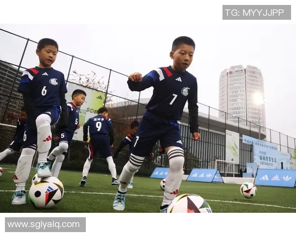 小学生足球门的设计与使用探讨提升青少年足球运动的乐趣与技能